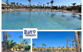 Two Bedrooms Oasi Blue Papagayo By Rentalfue